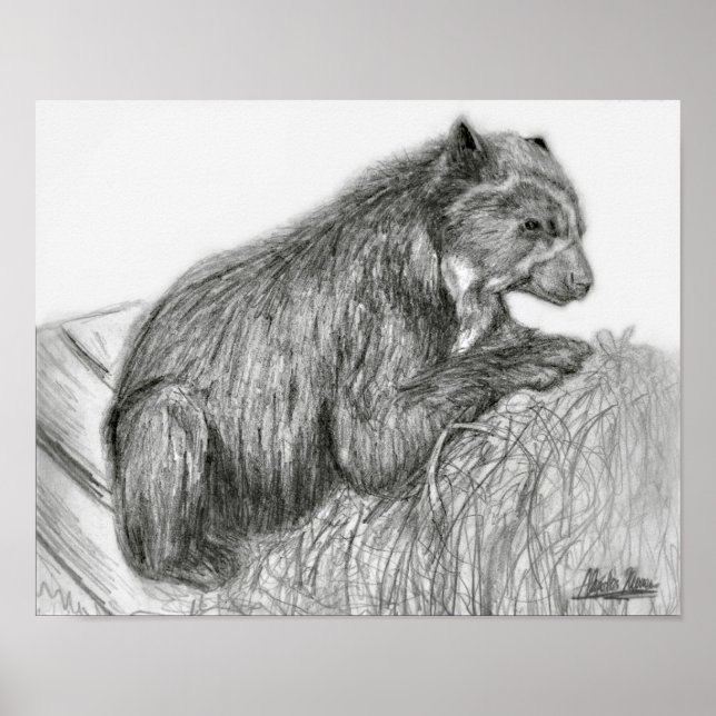 Affiches A. Neuman Bubu Imprimer (Devant)