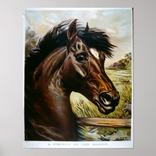 Affiches A Prince of the Blood (Devant)