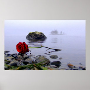 Affiches À terre lavé rose rouge