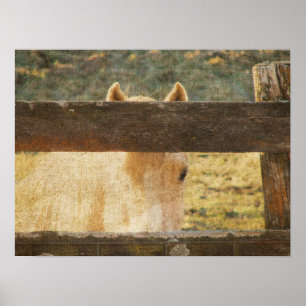 Affiches À travers la clôture