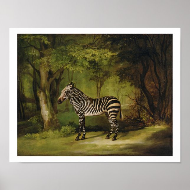 Affiches A Zebra, 1763 (huile sur toile) (Devant)