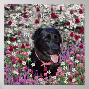 Affiches Abby en Fleurs - Chien de laboratoire noir