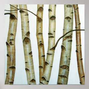 Affiches Abedules Blancos