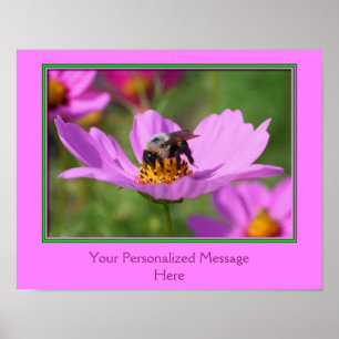 Affiches Abeille Sur Fleur Cosmos Rose Créez Votre Propre