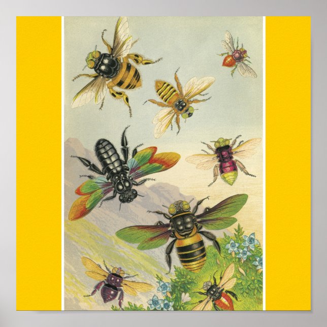 Affiches Abeilles (Devant)