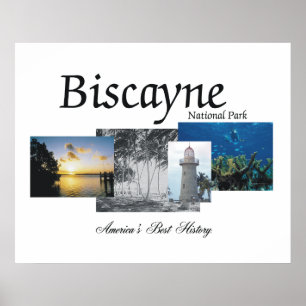 Affiches ABH Biscayne