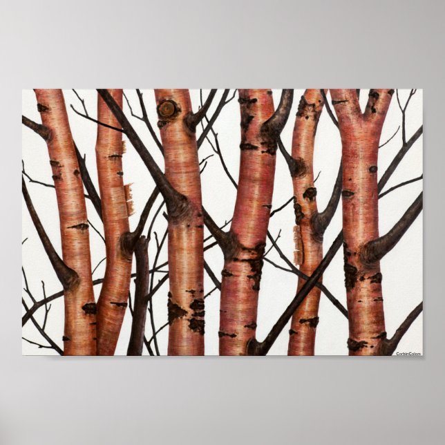 Affiches abonné rojos (Devant)