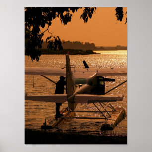 Affiches Accouplement de 206