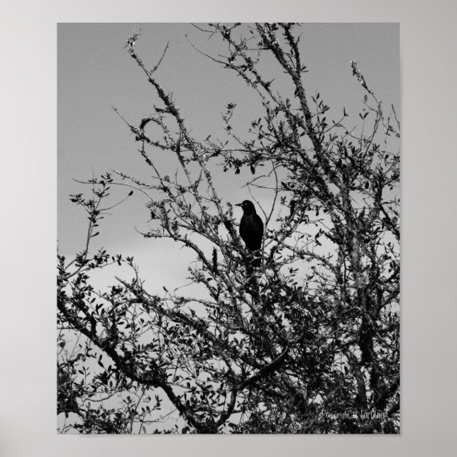 Affiches Accrocher (Devant)