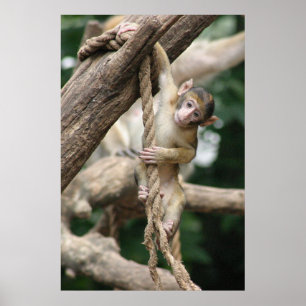 Affiches Accrochez-vous