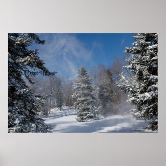 Affiches Accueil - Hiver. imprimer 04072