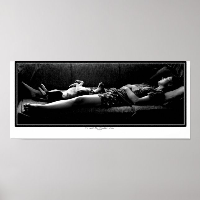 Affiches Accueil - Meilleur ami (Devant)