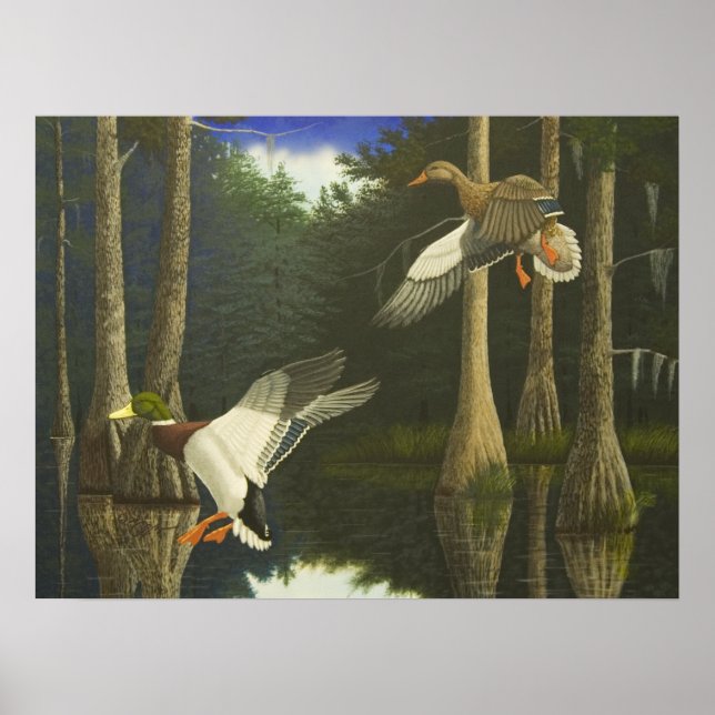 Affiches Accueil sûr (Devant)