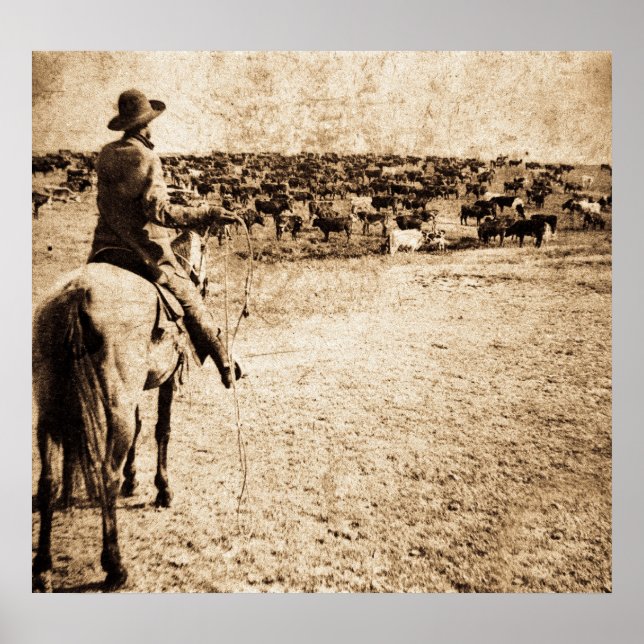 Affiches Accueil sur le plateau (Devant)