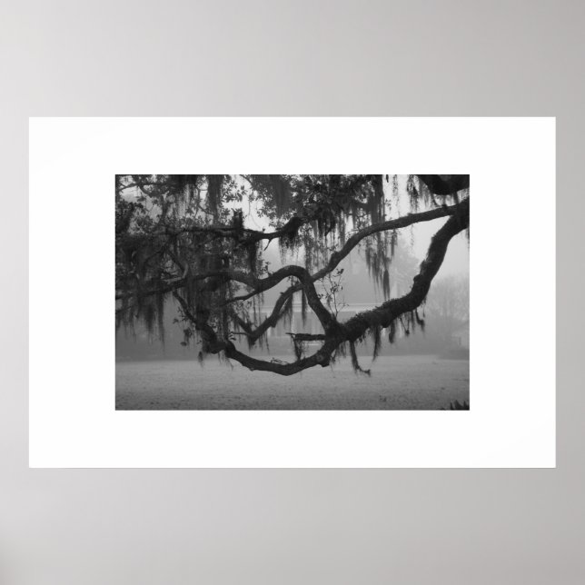 Affiches Addis House (Devant)