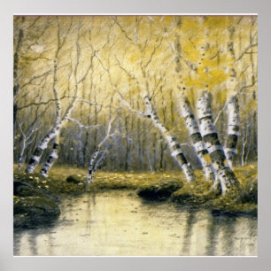 Affiches Adirondack Birches