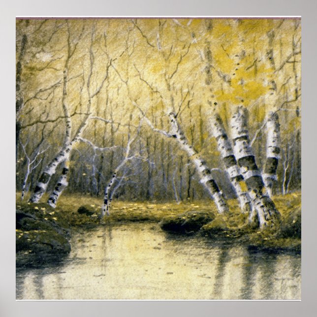 Affiches Adirondack Birches (Devant)