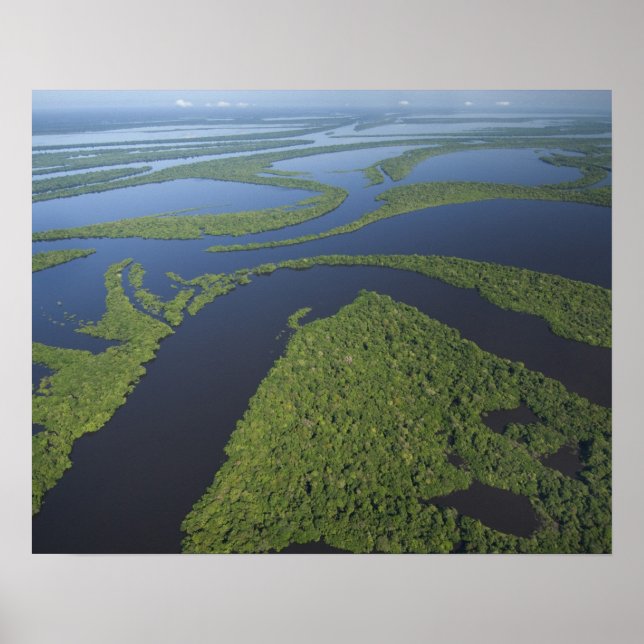 Affiches Aérien de l'archipel d'Anavilhanas, Inondé (Devant)