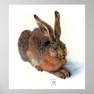 Affiches Affiche/copie :  Le lapin