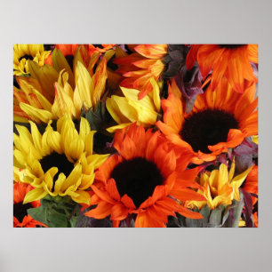 Affiches Affiches, SONLEURS # 1