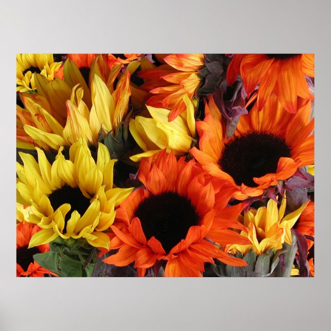 Affiches Affiches, SONLEURS # 1 (Devant)