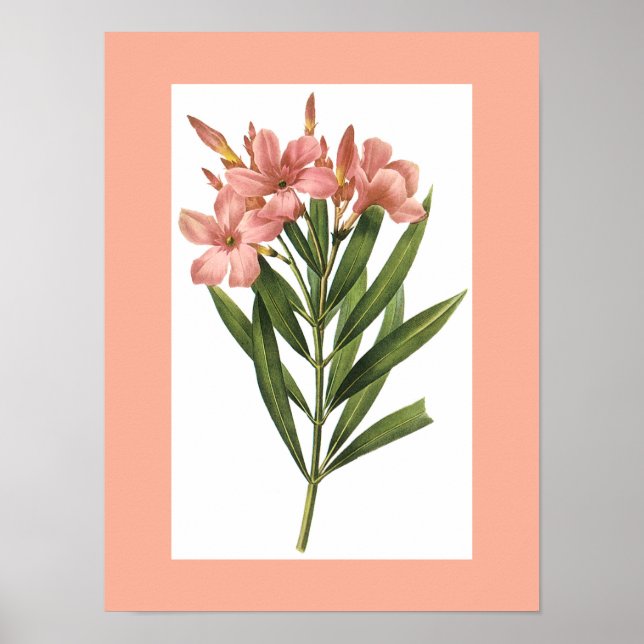 Affiches Afficheur vintage 3 (Devant)