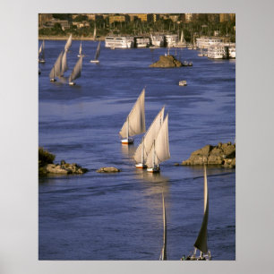 Affiches Afrique, Égypte, Haute-Égypte, Assouan. Feluccas