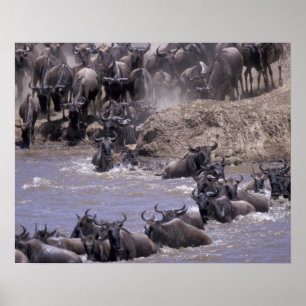 Affiches Afrique, Kenya, Parc national Masai Mara.
