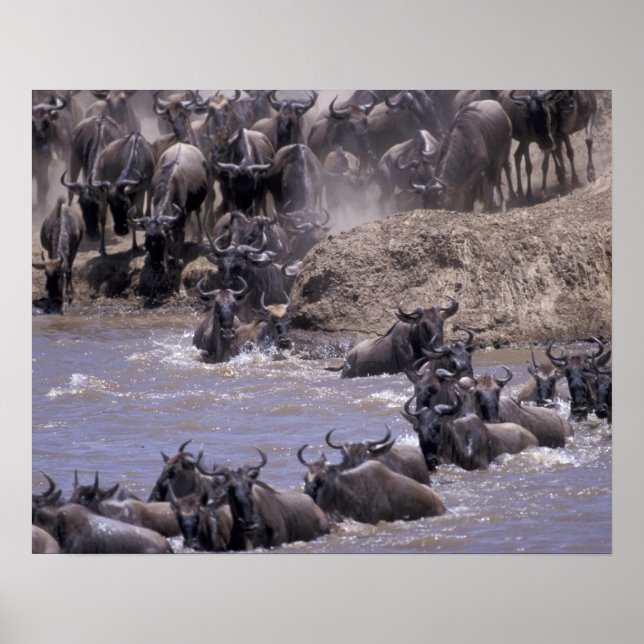 Affiches Afrique, Kenya, Parc national Masai Mara. (Devant)