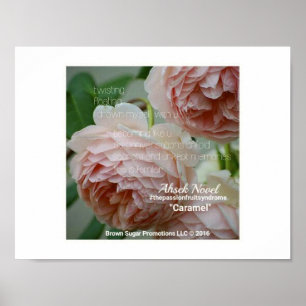 Affiches Ahsek Novel Caramel Poem par Ahsek Novel