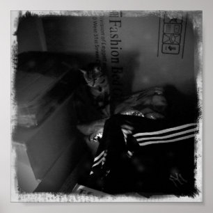 Affiches Aide à la mobilité Indigo