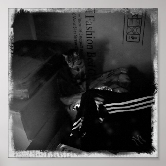 Affiches Aide à la mobilité Indigo (Devant)