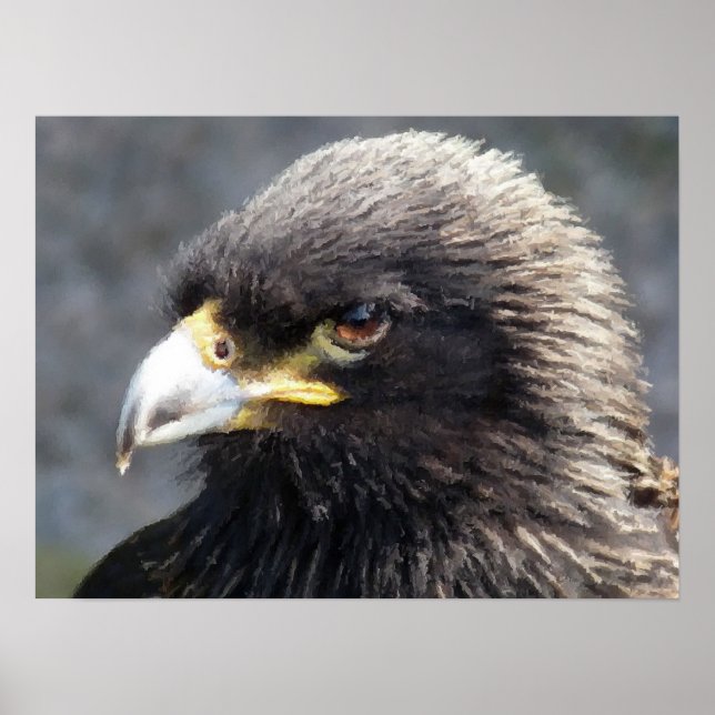 AFFICHES AIGLE (Devant)