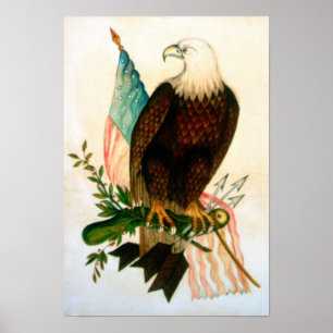 Affiches Aigle à tête blanche avec drapeau
