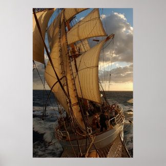 Affiches Aigle de la mer