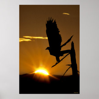 Affiches Aigle d'or - Californie du Nord - Sierra Nevadas