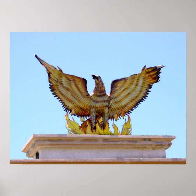 Affiches Aigle d'or mexicain (Devant)