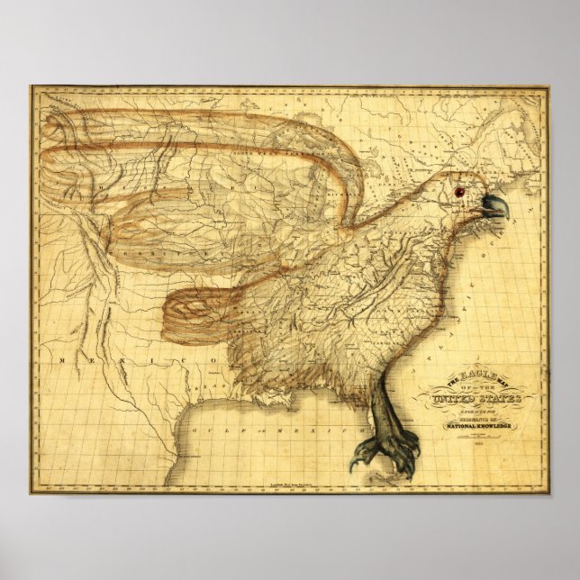 Affiches Aigle superposé aux États-Unis (Devant)