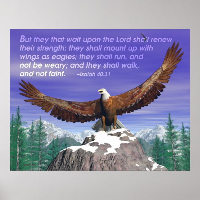 Affiches Aigles II (Devant)