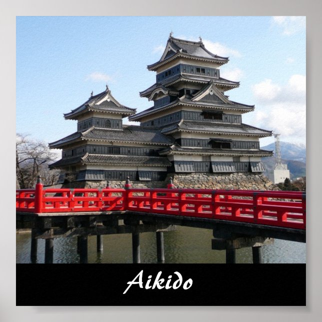 Affiches Aikido Japonais Martial Art (Devant)