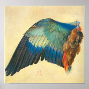 Affiches Aile d'un Blaurake par Albrecht Durer