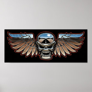 Affiches Ailes de Chromeboy