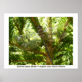 Affiches 'Ailes de verre tendues'