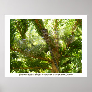 Affiches 'Ailes en verre souillé