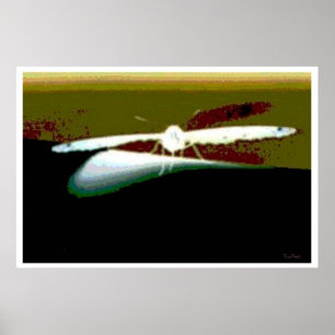 Affiches Ailes papillon Abstraites