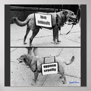 Affiches Aimer les animaux