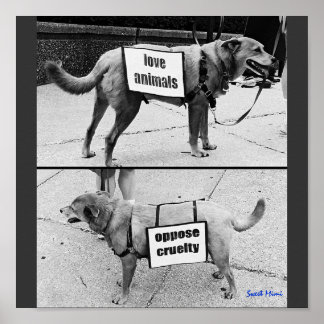 Affiches Aimer les animaux