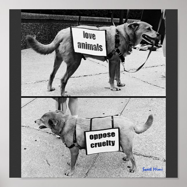 Affiches Aimer les animaux (Devant)