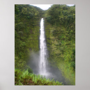 Affiches Akaka tombe Hilo, Hawaï