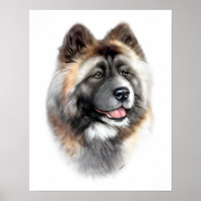 Affiches Akita (Devant)